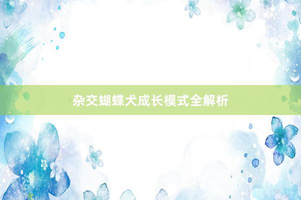 杂交蝴蝶犬成长模式全解析