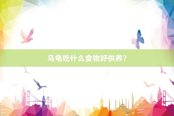乌龟吃什么食物好供养？