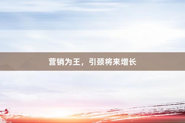 营销为王，引颈将来增长